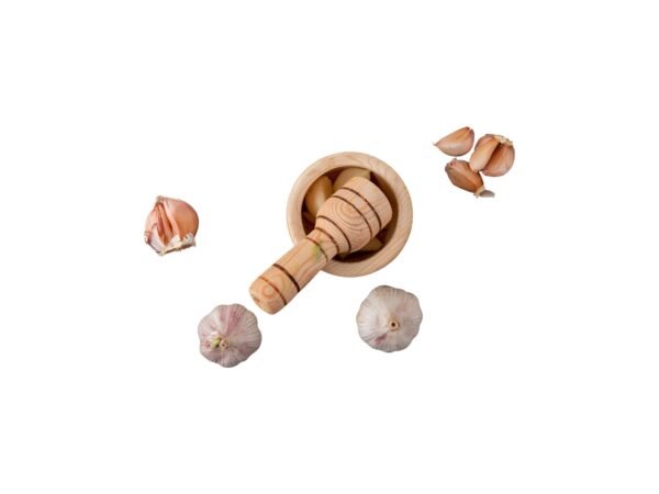 Garlic Powder Premium Quality